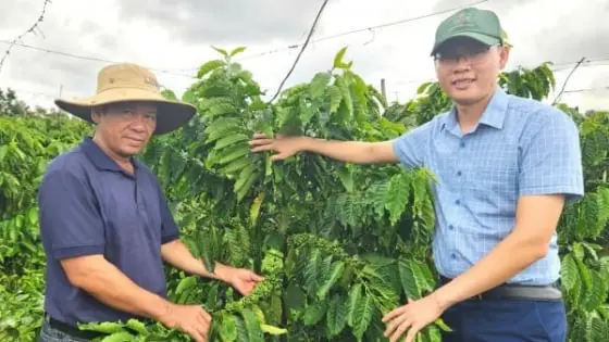 Nền tảng thuận lợi để Gia Lai lan tỏa IPHM - Báo Nông nghiệp
