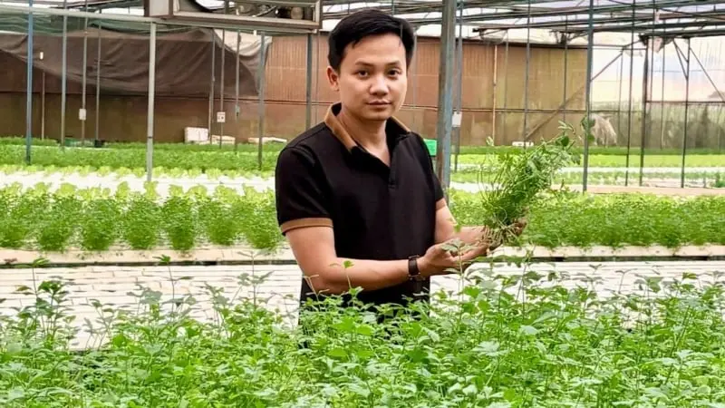 Trồng rau sạch công nghệ cao, doanh thu 20 tỷ/năm, trai Gia Lai bỏ phố về quê là Nông dân ...