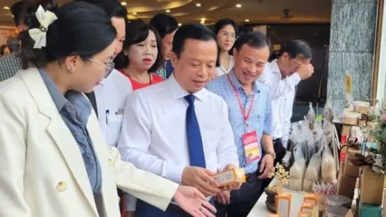 Nhiều doanh nghiệp Trung Quốc muốn đầu tư vào Gia Lai