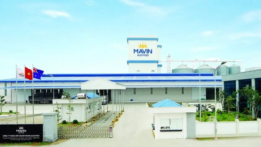 Mavin Tiên Phong Tín Dụng Xanh Việt Nam: Mô Hình Nông Nghiệp Tuần Hoàn Công Nghệ Cao