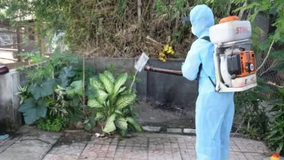 Ngành Chăn Nuôi Thú Y Gia Lai: Cánh Tay Nối Dài Hỗ Trợ Người Dân