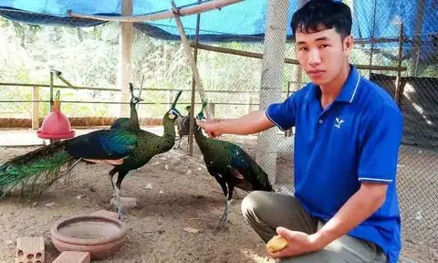 Cần tuyên truyền pháp luật để bảo vệ động vật hoang dã - Công an