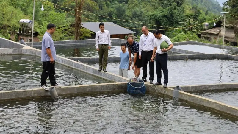 Nông thôn mới ở Mường Bo của tỉnh Lào Cai, xây dựng miền quê đáng sống có các mô ...