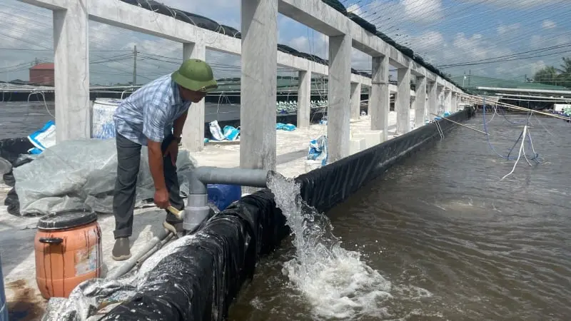 Tỷ phú nuôi tôm công nghệ cao ở Nam Định: Người tiên phong, lãi đậm gần 5 tỷ đồng/năm