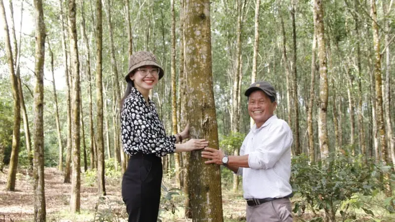 Rừng Gỗ Lớn FSC Giá Trị Cao: Vì Sao Nhiều Người Còn E Dè? Chia Sẻ Từ Nông Dân Xuất Sắc