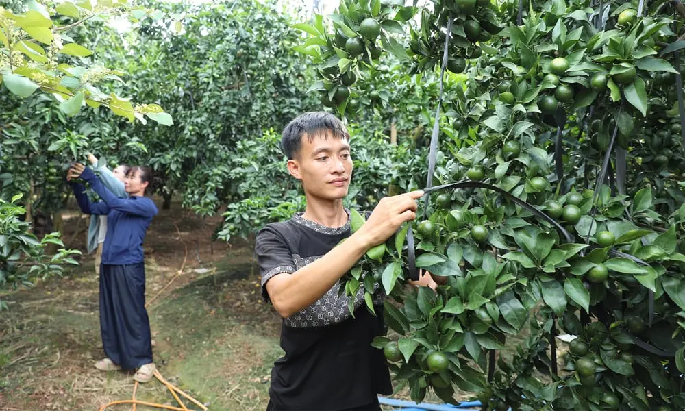 Lắng nghe tâm tư người nghèo, cho vay đúng mục đích - Vietnam.vn