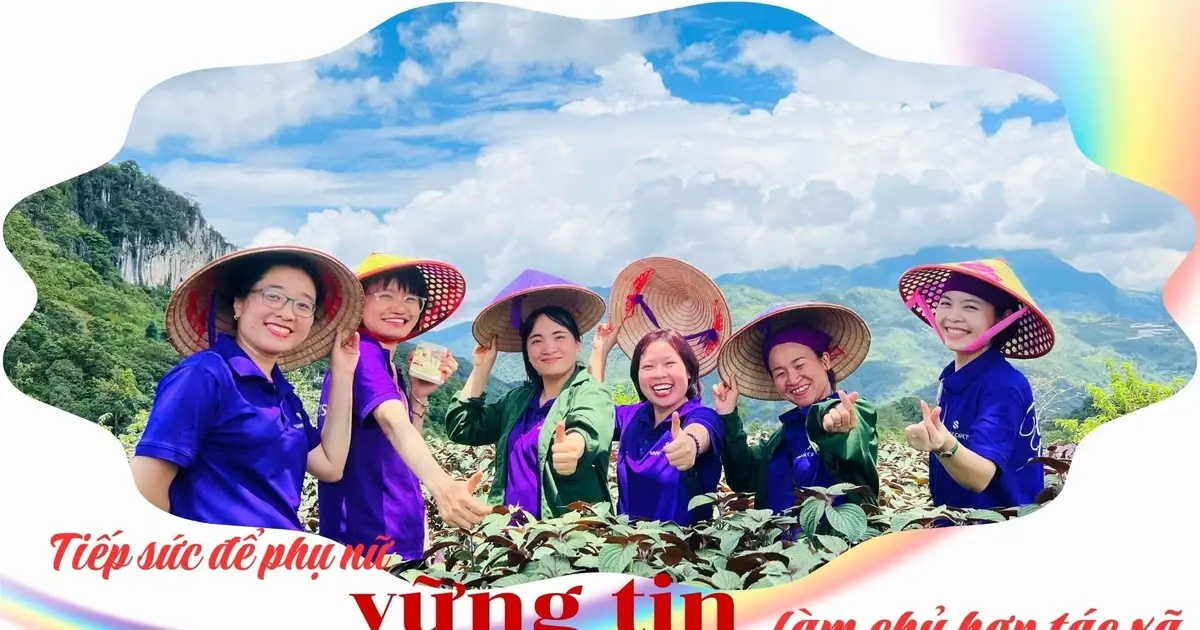 Tiếp sức để phụ nữ vững tin làm chủ hợp tác xã - Vietnam.vn