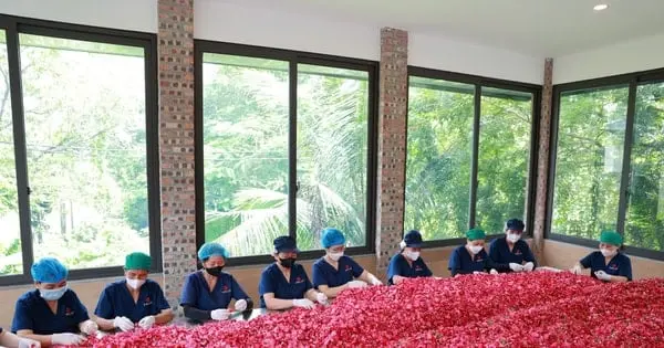 Bông hồng trên đất Xuân Mai - Vietnam.vn