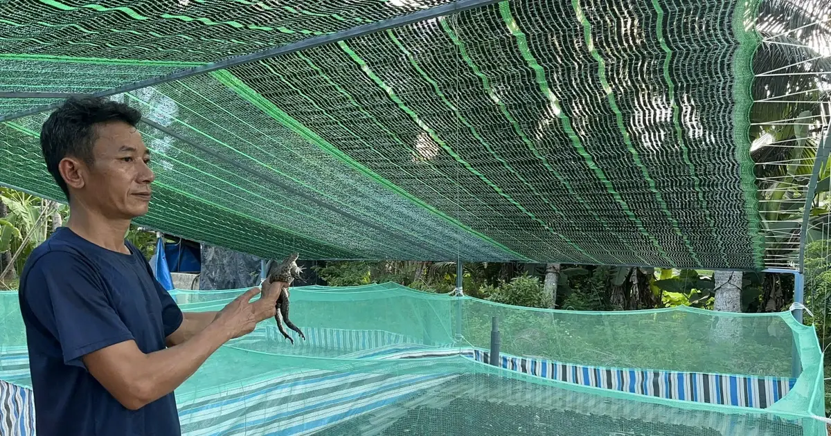 Gia Lai hỗ trợ ngư dân chuyển đổi nghề, bảo vệ sinh thái biển - Vietnam.vn