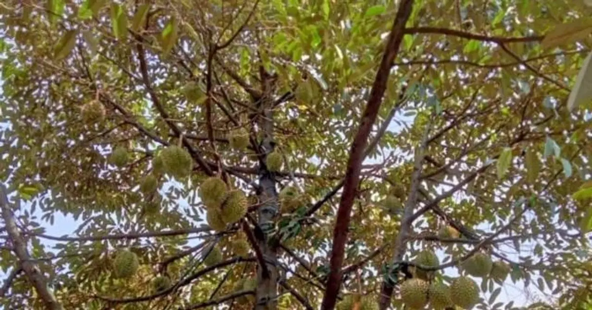 Truy Xuất Nguồn Gốc Sản Phẩm: Giải Pháp Tăng Niềm Tin Khách Hàng và Lợi Thế Cạnh Tranh