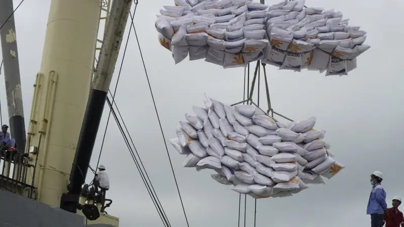 Điểm danh 3 loại gạo cao cấp Việt Nam được người Philippines ưa chuộng nhất