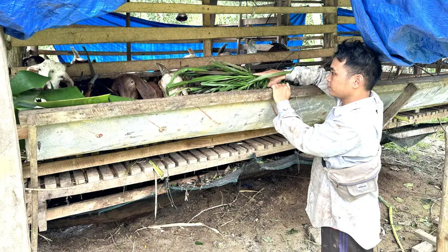Các xã mới ở Gia Lai đồng lòng giảm nghèo, hướng tới phát triển bền vững