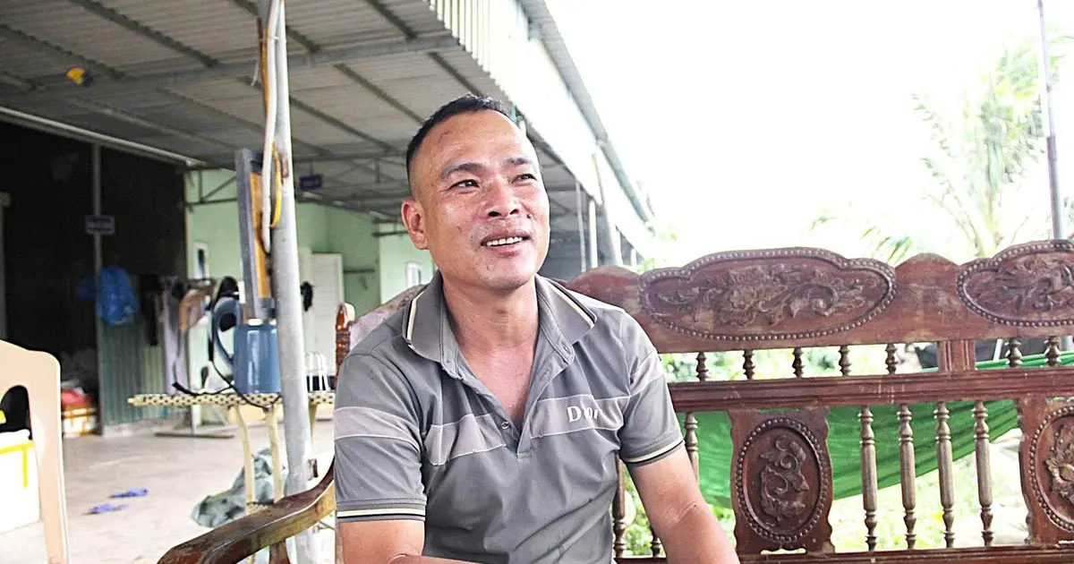 Nông dân Nghệ An từng 'nợ như chúa chổm', nay 'lên đời' thành đại gia nhờ nuôi con bơi ...