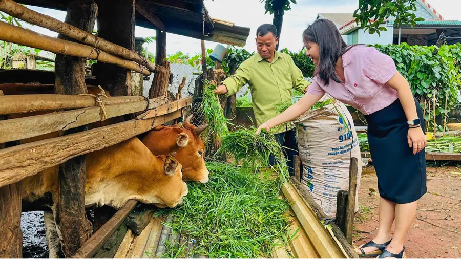 Gia Lai bứt phá trong công tác giảm nghèo, hướng đến mục tiêu phát triển bền vững