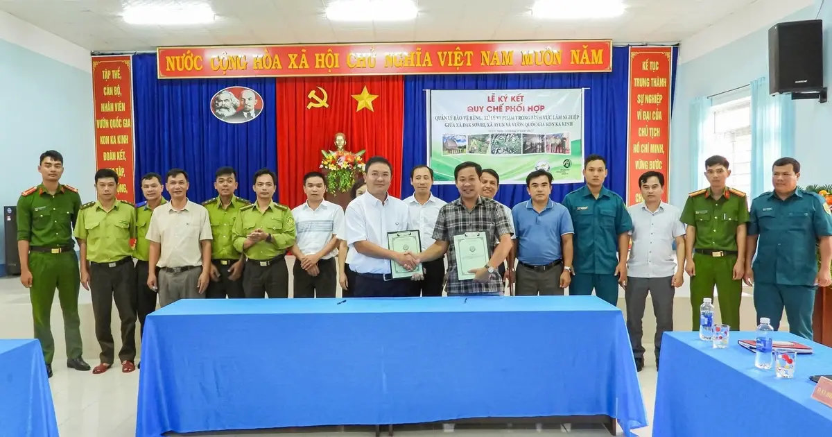 Gia Lai: Ký kết quy chế phối hợp trong quản lý, bảo vệ và phát triển rừng - Vietnam.vn