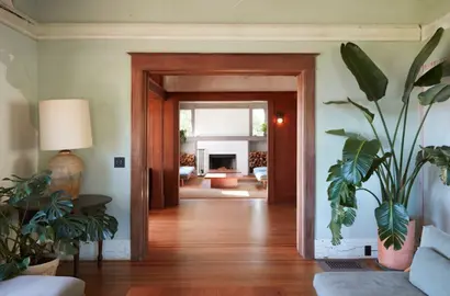 3 Loại Cây Phong Thủy Giúp Thu Hút Tài Lộc và Năng Lượng Tích Cực Cho Không Gian Nhà Ở