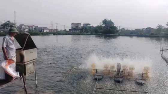 Khuyến nông vực dậy nhiều trang trại trước nguy cơ thua lỗ