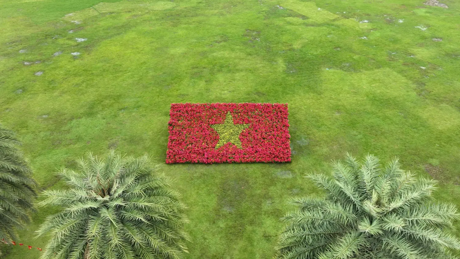 Vinhomes Grand Park: Khoảnh Khắc Bình Yên và Rộn Ràng Ngày 2/9