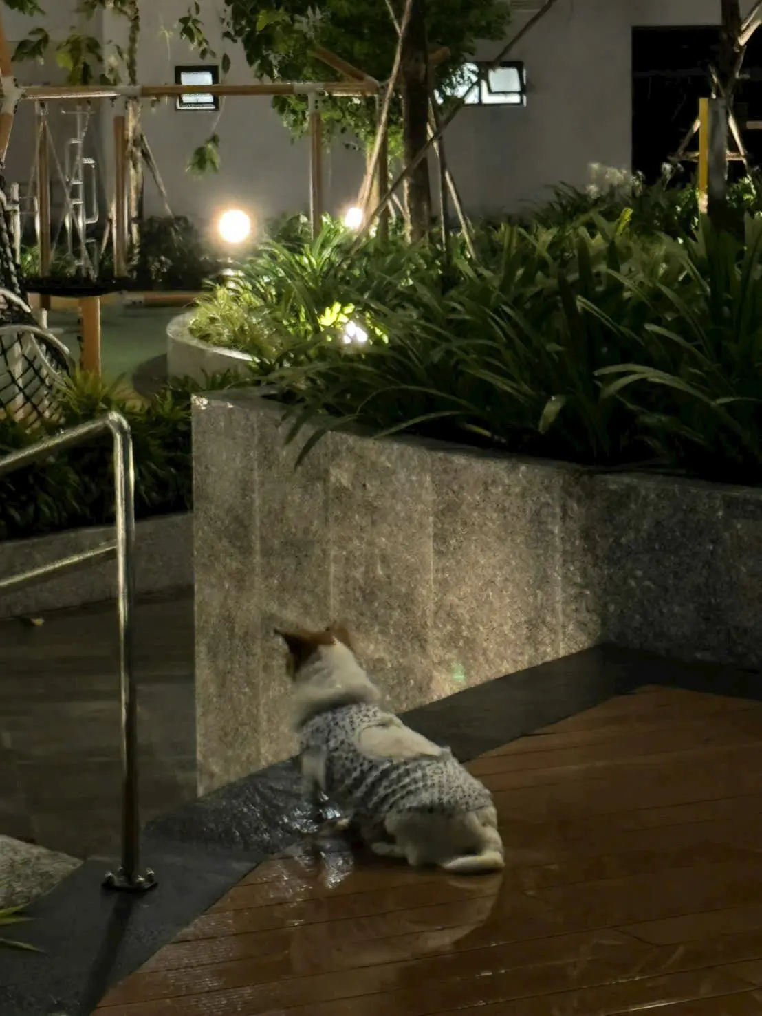 Địa điểm xem pháo hoa đẹp nhất ở Bình Dương: Gợi ý cho bạn