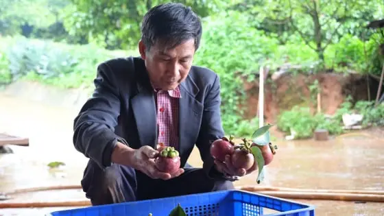 Người giữ hồn xanh trên đất đỏ - Báo Nông Nghiệp