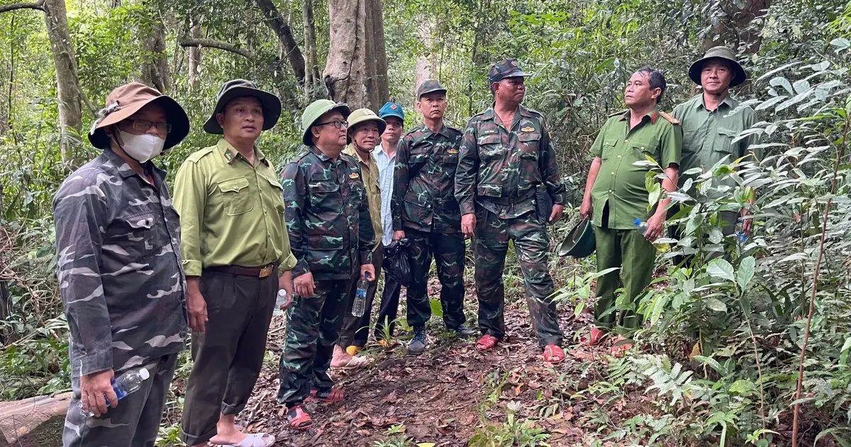 Gia Lai: Phát huy sức mạnh tổng hợp để quản lý, bảo vệ rừng - Vietnam.vn