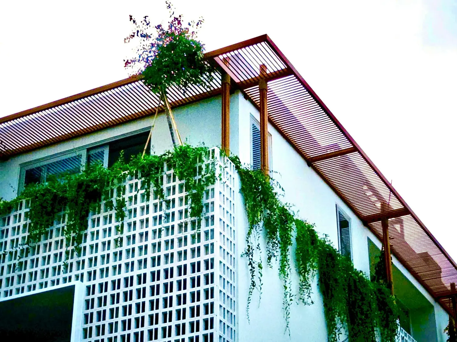 Khám Phá La Tiên Villa: Sự Kiện Nghệ Thuật Đa Giác Quan Tại Sài Gòn