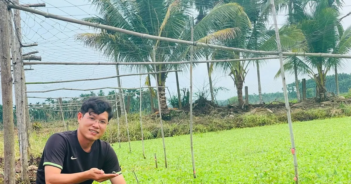 Giám đốc trẻ biến trại ốc thành điểm đến du lịch xanh - Vietnam.vn