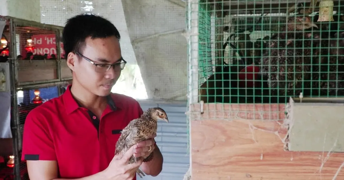 Khởi nghiệp nông thôn thời trí tuệ nhân tạo - Vietnam.vn