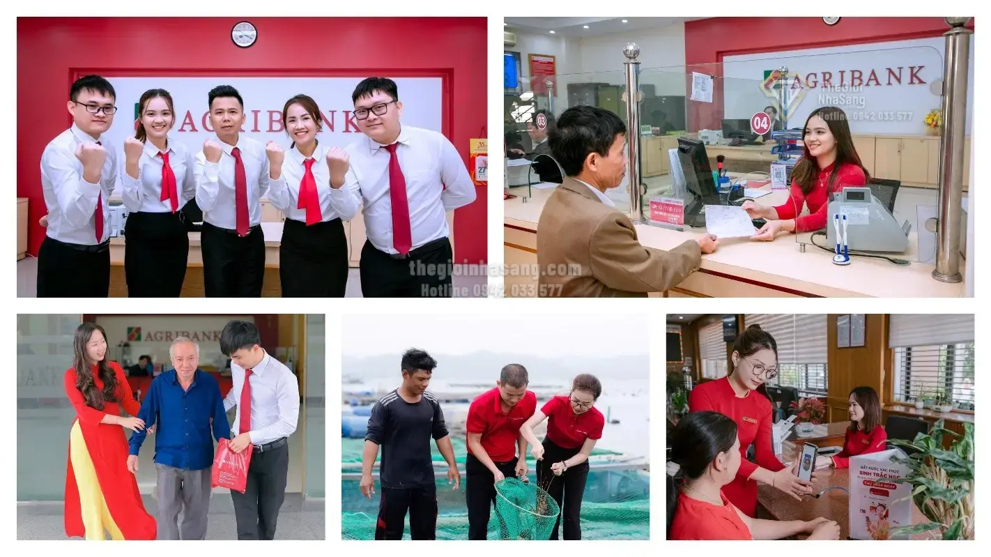 Agribank Đặt Mục Tiêu Tăng Trưởng Hai Con Số: Cơ Hội và Thách Thức Cho Thị Trường Bất Động Sản Nông Thôn và Đô Thị Việt Nam