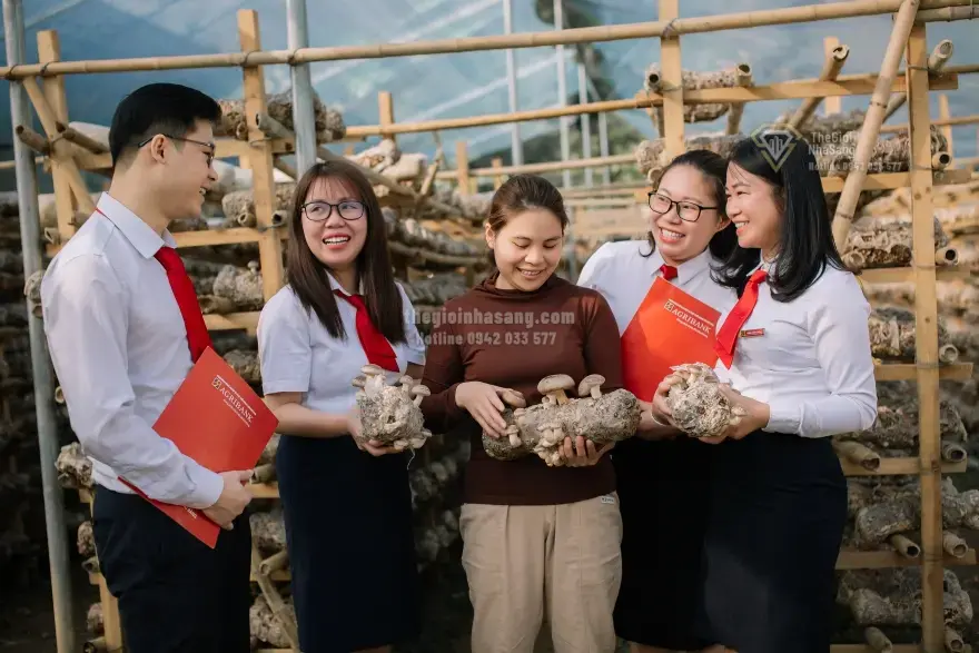 Agribank hỗ trợ hộ kinh doanh chuyển đổi kê khai thuế: Cơ hội và thách thức cho thị trường bất động sản