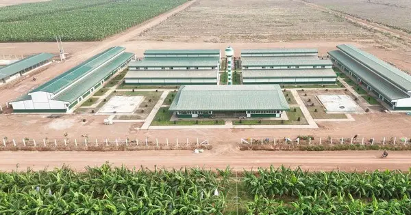 Bầu Đức trồng sầu riêng, 'vua thép' Trần Đình Long nuôi gà - Doanh Nhân