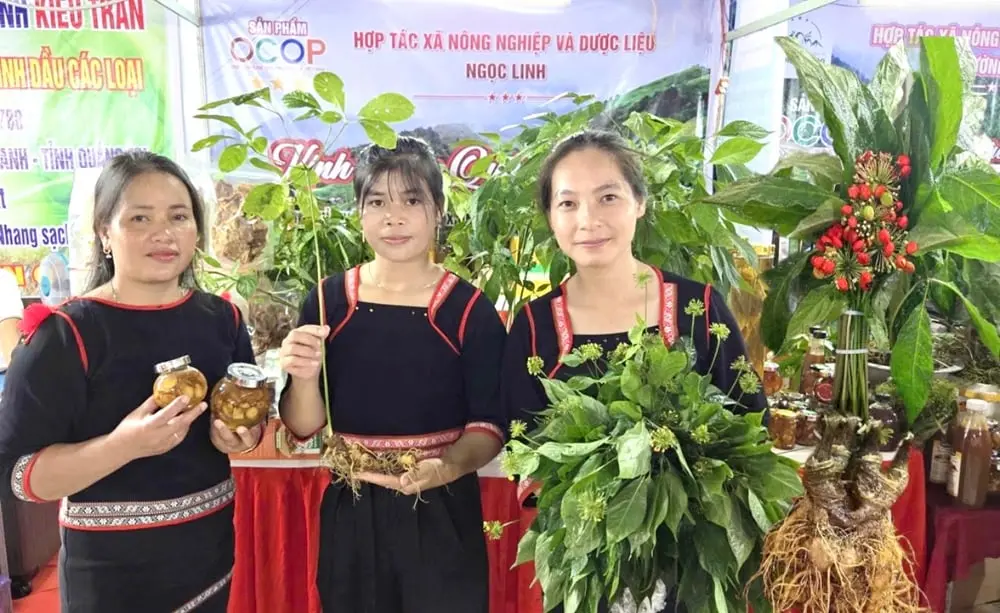 Đây là những đặc sản của Quảng Ngãi dự kiến không thể “vắng mặt” tại Hội chợ mùa Thu 2025