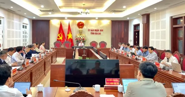 Gia Lai: Chủ tịch tỉnh chỉ đạo “nóng” vụ “khai thác” keo tại rừng trồng của Công ty Phúc Phong