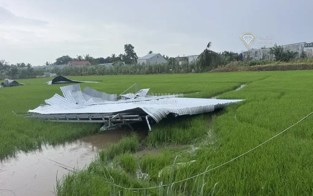 Ảnh Hưởng Của Thời Tiết Cực Đoan Đến Hạ Tầng Đô Thị Và Thị Trường Bất Động Sản TP HCM Và Cần Thơ