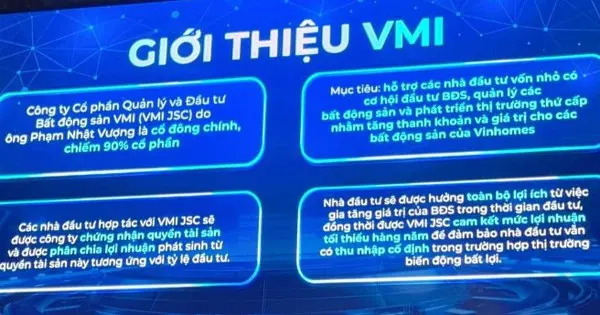 Tỷ phú Phạm Nhật Vượng sáp nhập Bất động sản Hưng Long vào VinSpeed - CafeF