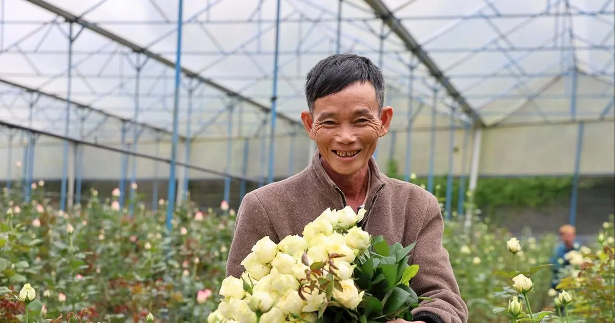 Khát Vọng Làm Giàu Từ Nghề Trồng Hoa Của Người Lính Cụ Hồ