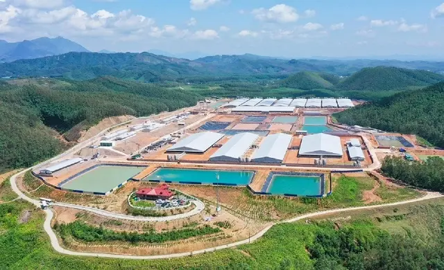 Chi phí và thuế giảm mạnh, BAF lãi thêm 5% hậu soát xét - Fili.vn