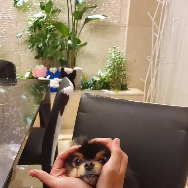 Bất động sản đẳng cấp của 7 thành viên BTS: Từ Seoul đến Mỹ, mỗi căn nhà là tuyên ngôn phong cách sống thượng lưu