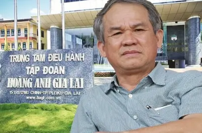 Bầu Đức Lấn Sân Bất Động Sản Công Nghiệp Tại Gia Lai: Cơ Hội Và Thách Thức Mới