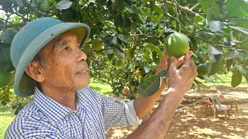 Nông dân Việt Nam xuất sắc từ Quảng Trị từng trắng tay vì 'vàng trắng' nay là tỷ phú trồng cây ăn quả