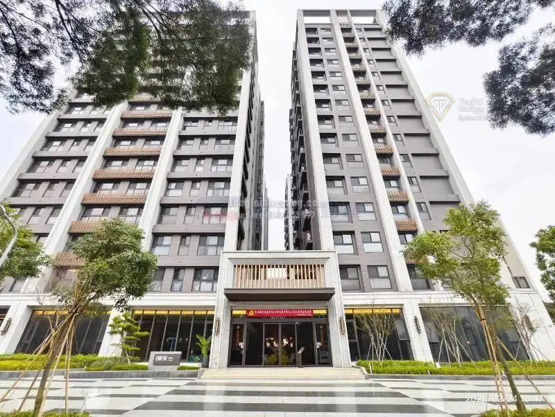 Bí quyết chọn nhà: Vì sao biệt thự không phải lúc nào cũng là lựa chọn tối ưu?