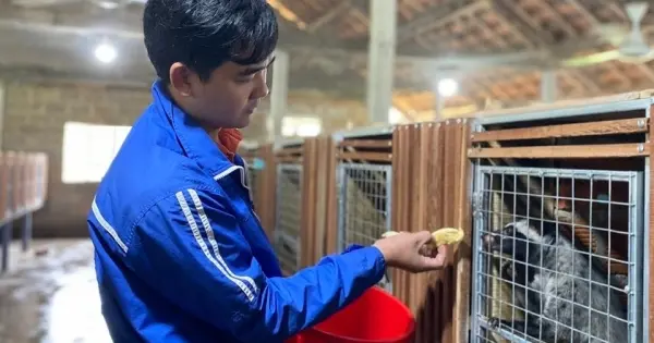 Bỏ nghề cơ khí về quê, 9X thu lãi 300 triệu/năm nhờ nuôi con vật "khó tính"