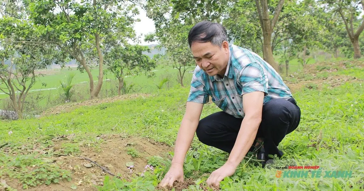 Để có nền nông nghiệp sinh thái, cần có người nông dân sinh thái