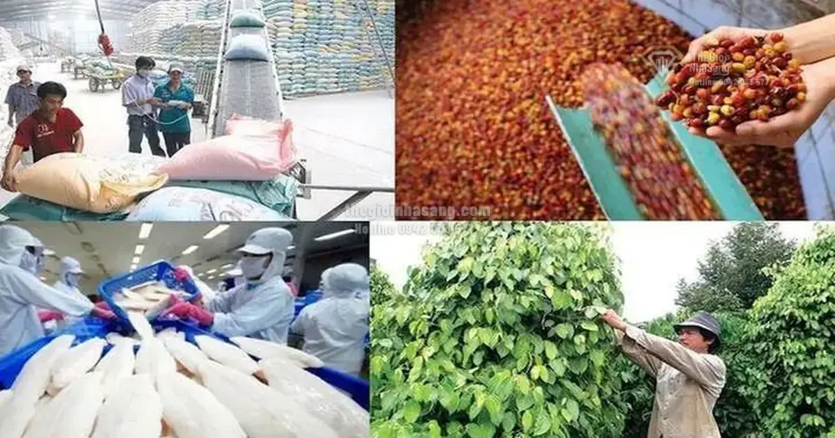 Bứt Phá Kim Ngạch Xuất Khẩu Nông Lâm Thủy Sản Đến 100 Tỷ USD: Tác Động Và Cơ Hội Cho Thị Trường Bất Động Sản Việt Nam