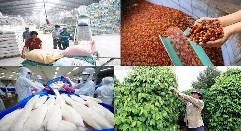 Bứt Phá Kim Ngạch Xuất Khẩu Nông Lâm Thủy Sản Đến 100 Tỷ USD: Tác Động Và Cơ Hội Cho Thị Trường Bất Động Sản Việt Nam