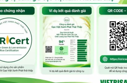 Cần Thơ Nhân Rộng 170.000 Ha Lúa Chất Lượng Cao: Bước Đột Phá Trong Quản Lý Nông Nghiệp Và Tác Động Đến Thị Trường Bất Động Sản Vùng Đồng Bằng Sông Cửu Long
