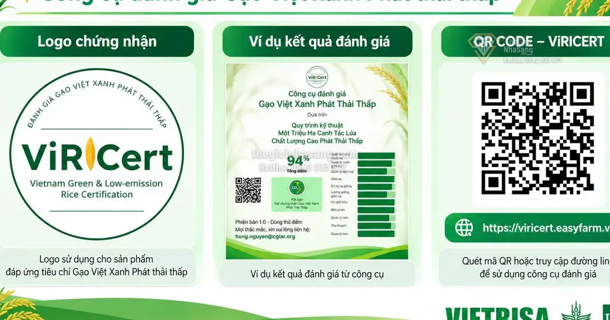 Cần Thơ Nhân Rộng 170.000 Ha Lúa Chất Lượng Cao: Bước Đột Phá Trong Quản Lý Nông Nghiệp Và Tác Động Đến Thị Trường Bất Động Sản Vùng Đồng Bằng Sông Cửu Long