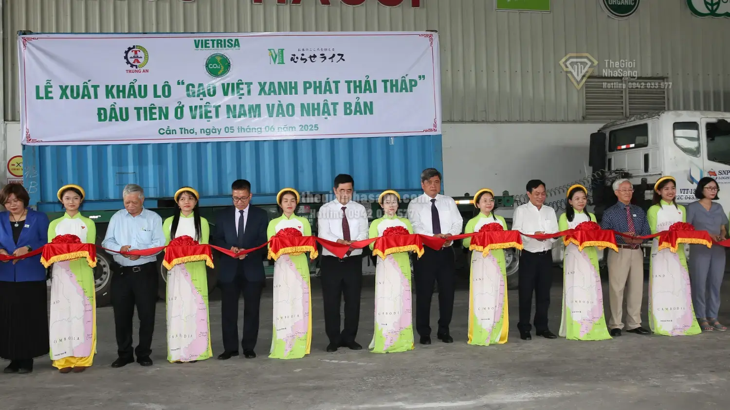 Cần Thơ Nhân Rộng 170.000 Ha Lúa Chất Lượng Cao: Bước Đột Phá Trong Quản Lý Nông Nghiệp Và Tác Động Đến Thị Trường Bất Động Sản Vùng Đồng Bằng Sông Cửu Long