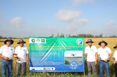Cần Thơ Phát Triển Vùng Nguyên Liệu Lúa Chất Lượng Cao: Cơ Hội Mới Cho Đầu Tư Bất Động Sản Nông Nghiệp Và Hạ Tầng Vùng