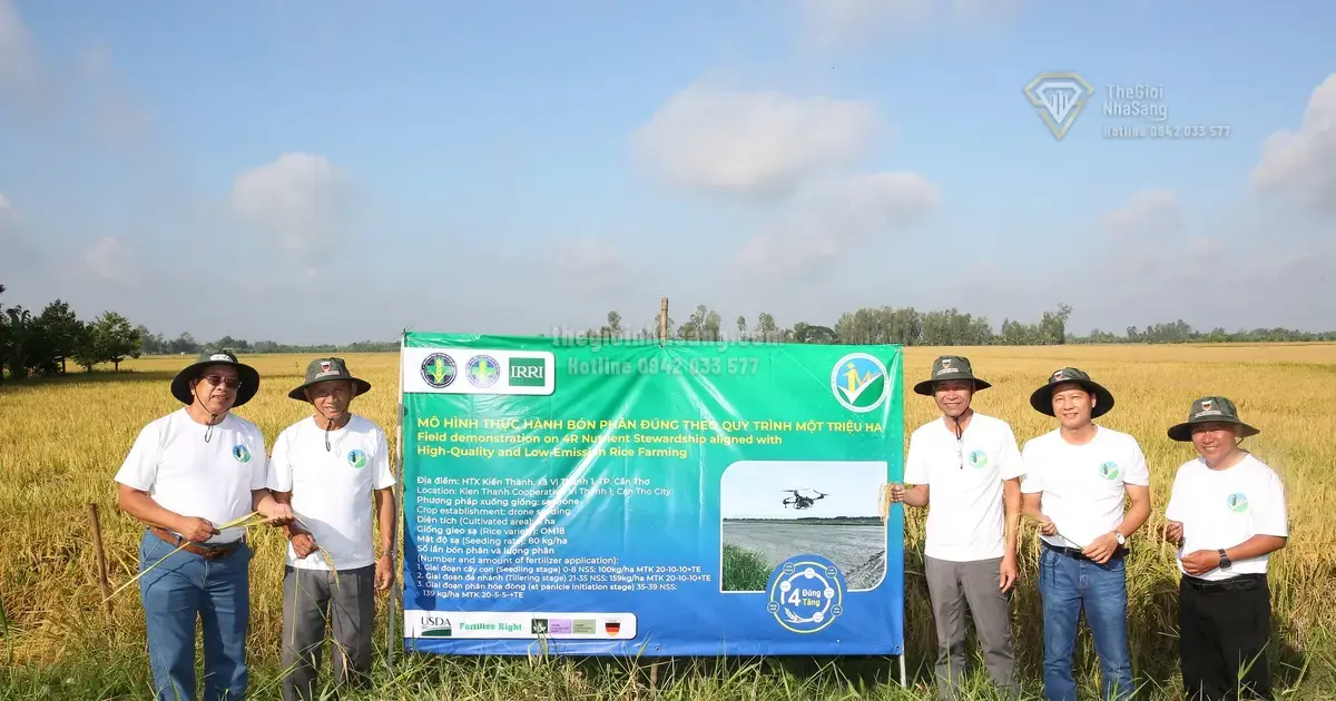 Cần Thơ Phát Triển Vùng Nguyên Liệu Lúa Chất Lượng Cao: Cơ Hội Mới Cho Đầu Tư Bất Động Sản Nông Nghiệp Và Hạ Tầng Vùng